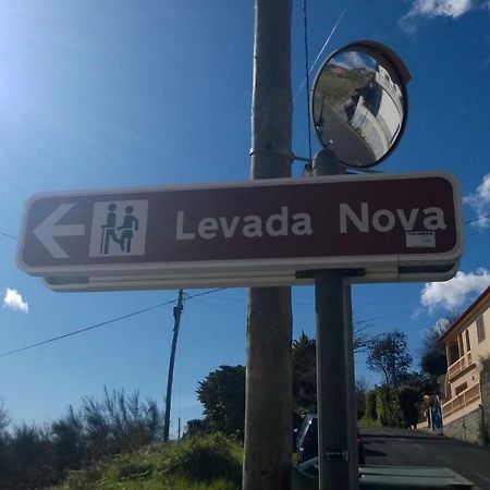 Rib Brava Garden Apartment Ribeira Brava Zewnętrze zdjęcie