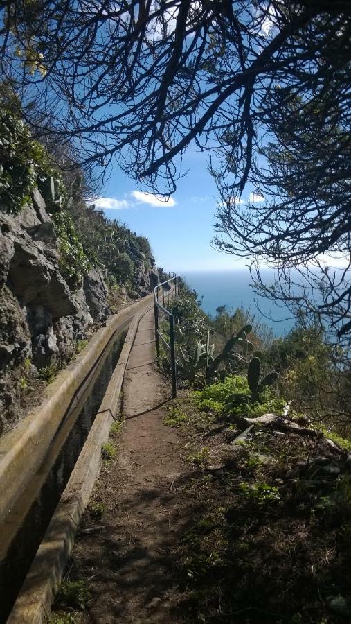 Rib Brava Garden Apartment Ribeira Brava Zewnętrze zdjęcie